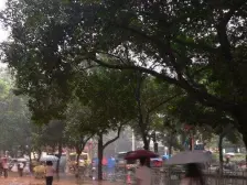 碚峡西路 楼层低 简单装修 两室 出售