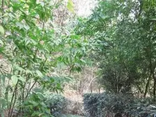 水天花园 4室2厅 南