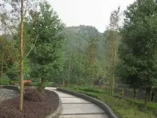 童家溪 水天花园二房