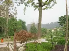 园林式小区一梯2户 精装复式跃层 带花园 可拎包入住