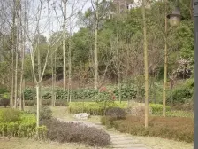 童家溪 水天花园四房330万