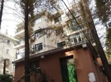 新华路·文缘村·2室·1厅