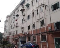 新华路·文缘村·1室·0厅
