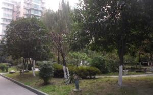 潮蓉花园3室1厅南