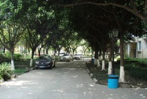 齐力花园4室2厅南