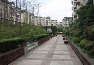 齐力花园3室2厅南