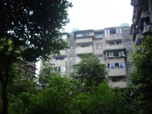 双清南路4号3室1厅西南