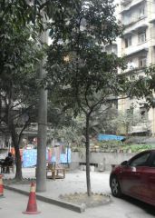 双清南路4号2室1厅东
