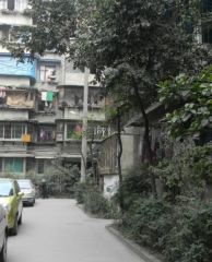 双清南路4号3室1厅南北