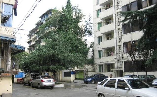 蓓蕾西巷实景图