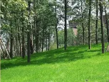 农业园区 万科渝园二房206万