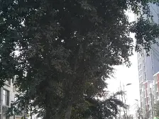 南城国际 4室1厅 南