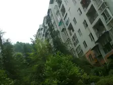 回兴 奔力乡间城二房88万