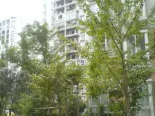 回兴 奔力乡间城二房66万