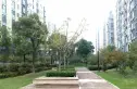 凤凰和鸣苑实景图