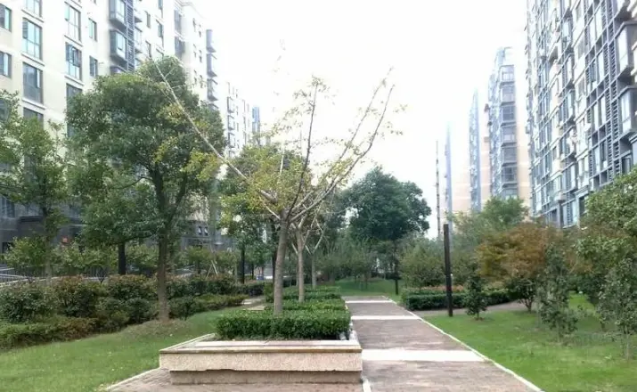 凤凰和鸣苑实景图