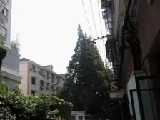 新华路南北通2房 诚意出售 看房预约