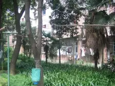 人文新华15分生活圈!1964年老物件~近上海影城!