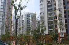 阳光城市家园电梯高区两房诚意出售