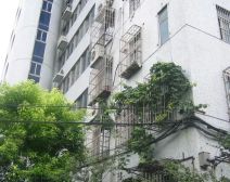 纺大小区3室1厅南