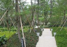 万科棠樾七期,小别墅,四拼,戴小花园,地上三层