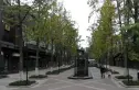 新里派克公馆别墅实景图