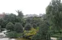 新里派克公馆别墅实景图
