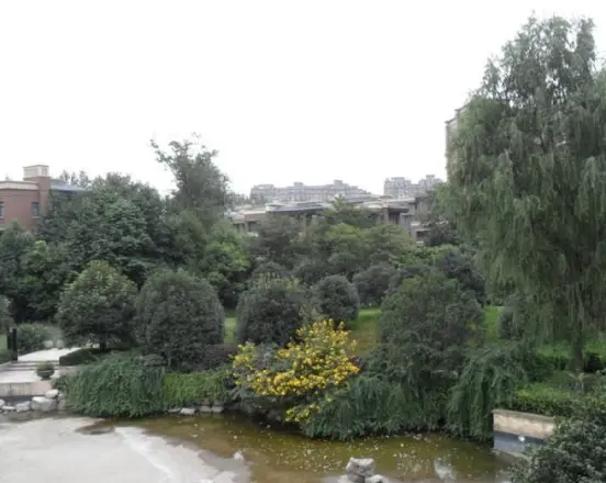 新里派克公馆别墅实景图