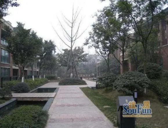 新里派克公馆别墅实景图