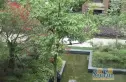 新里派克公馆别墅实景图