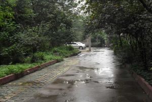 抚琴西南路4号3室1厅南