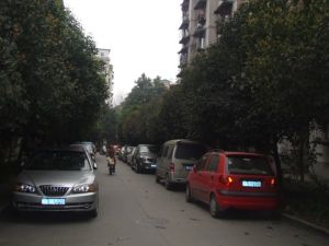 锦桂苑 3室2厅 南