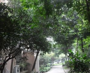 锦花苑(青羊)2室1厅南