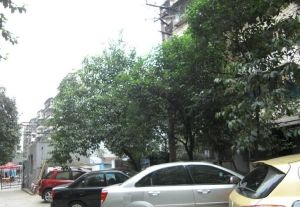 清溪南街16号2室1厅南