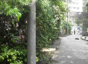 清溪南街16号 2室1厅 南