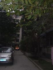 清溪南街16号 2室1厅 南