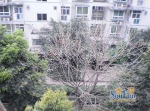 风林假日3室1厅东南
