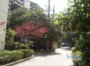 攀钢苑2室1厅东南西北