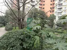 2号线杨家坪轻轨站,交通方便,配套成熟。