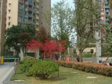 房子楼层好 业主安心卖,正规的一室一厅 距离轻轨近