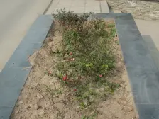 新上精装跃层四房,业主诚心出售