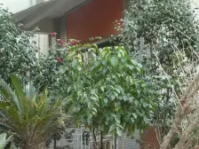 弹子石 阳光绿洲三房168万