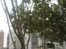 回兴 湖山花园二房56万