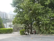 汽博商圈 电梯一房 出行方便 配套齐