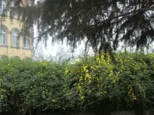 农业园区 枫桥水郡一房42万