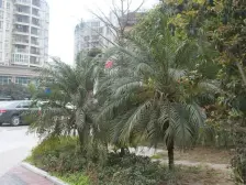 汽博跃层,面积大,视野好,带花园,配套齐全