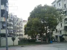 金泰小区+新上景观两房+低总价+叙利亚风格装修+随时看