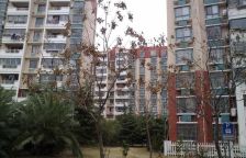 紫翠苑北区(俱进路505弄)3室2厅南
