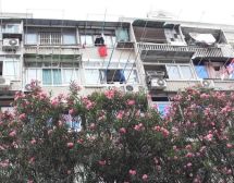 百年新华路梧桐树下双南附双院子,精装两房拎包入住