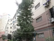 淮海西路通勤房,临交大站,精装南北通大一室